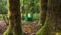Toilet tanpa dinding ini membuatmu sangat dekat dengan alam. Tapi karena berada di tengah hutan British Columbia, kabarnya ada pula potensi kehadiran beruang. (Foto: Dok. CNN Travel)