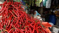 Seorang pedagang di Pulau Simeulue, Aceh, nampak menjual cabai dan berbagai bumbu dapur lain di tokonya.