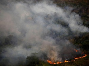 Kebakaran Amazon, Brasil Tangkap 63 Orang dan Jatuhkan Denda Rp 120 M