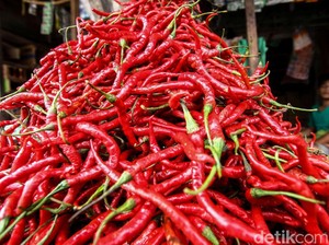 Pasokan Cabai yang Stabil