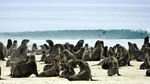 Foto: Mengintip Gerbang Neraka di Afrika