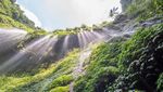 Potret Air Terjun Abadi di Pulau Jawa