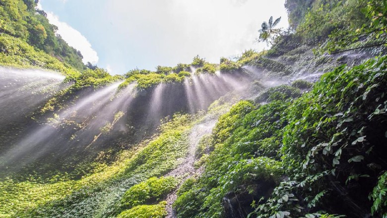 Indonesia famous place attraction for tourist Madakaripura Waterfall the tallest waterfall in Java and the second tallest waterfall in Indonesia.