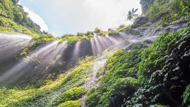Indonesia famous place attraction for tourist Madakaripura Waterfall the tallest waterfall in Java and the second tallest waterfall in Indonesia.