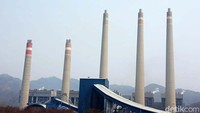 Pengkampanye Energi dan Perkotaan Walhi, Dwi Sawung menyebut PLTU Babelan, yang berada di sebelah timur Jakarta, PLTU Lontar di Jakarta Barat, dan PLTU Suralaya, di Banten bisa membawa polusi hasil pembakarannya. Tuduhan itu muncul karena setiap pembangkit tenaga uap, menggunakan energi pembakaran batu bara yang menimbulkan polutan pada sisa pembakarannya.