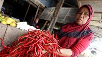 Meski harganya pasang surut, cabai masih menjadi salah satu bahan makanan yang paling dicari oleh masyarakat.