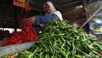 Cabai jadi salah satu bahan makanan yang paling banyak dicari oleh masyarakat Indonesia. Tak heran pasang surut harga cabai selalu menjadi sorotan.
