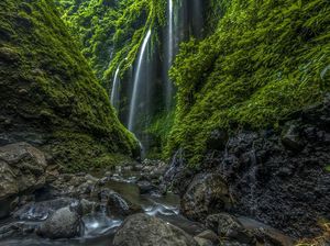 5 Air Terjun di Probolinggo, Salah Satunya Tertinggi di Jawa Timur