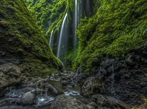 5 Air Terjun di Probolinggo, Salah Satunya Tertinggi di Jawa Timur