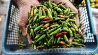 Tak jarang saat cabai tak habis dijual cabai-cabai tersebut mulai membusuk dan dibuang begitu saja oleh penjualnya.