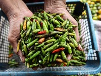September Deflasi 0,27%, Tanda Daya Beli Turun?