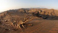 Bushmen, orang asli Skeleton Coast memberi nama The Land God Made in Anger, atau Tanah yang dibuat Tuhan saat sedang marah. (iStock)