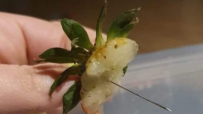 Muncul Lagi Kasus Jarum dalam Stroberi di Australia