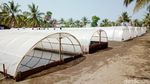 Foto: Kampung Garam yang Instagramable di Kebumen