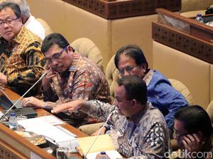 Terungkap! Ini Pemegang Konsesi Lahan Ibu Kota Baru Selain Tanoto