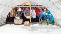 Peresmian Kampung Garam