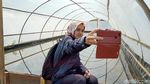 Foto: Kampung Garam yang Instagramable di Kebumen