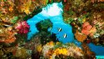 Foto: 5 Tempat Wisata Alam di Dunia yang Rusak Akibat Turis