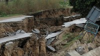 Getaran gempa ini dirasakan hingga ke New Delhi, India. Media lokal Press Trust of India melaporkan, orang-orang yang panik keluar dari rumah-rumah mereka dan kantor-kantor di sejumlah tempat, termasuk di Rajasthan, Punjab, dan Haryana.