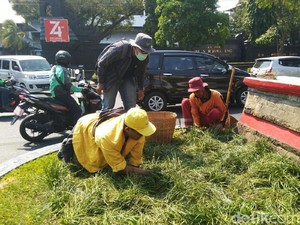 2 Mahasiswa di Semarang Ini Tepati Janji Perbaiki Taman Pascademo