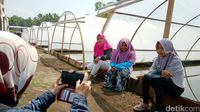  (Rinto Heksantoro/detikcom)