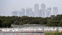 Proses restorasi Wasit Wetland Centre dimulai pada awal 2000-an. Saat itu pemimpin Sharjah, Sheikh Sultan III, menugaskan survei untuk mengeksplorasi potensinya untuk mendukung habitat satwa liar (CNN)