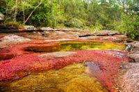 Tempat-tempat Wisata Terancam Turis, Salah Satunya di Papua