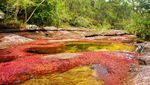 Foto: 5 Tempat Wisata Alam di Dunia yang Rusak Akibat Turis