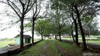 Jalan menuju ke area makam Teungku Diujung pun nampak rindang karena dikeliling oleh pepohonan di sisi kiri dan kanan jalan.