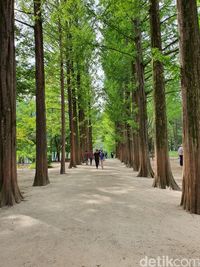 Nostalgia Drama 'Winter Sonata' di Pulau Cantik Korea