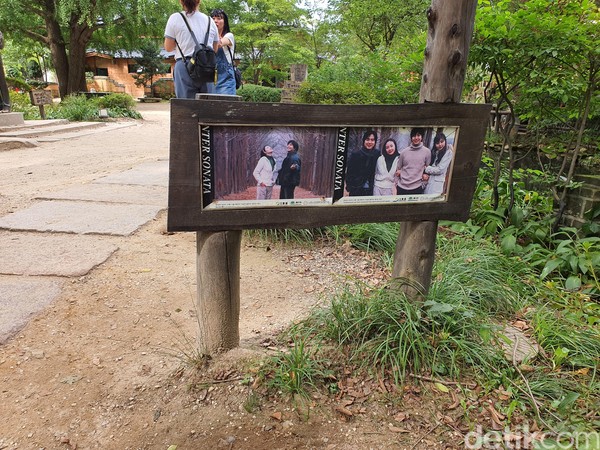 Jejak-jejak drama Winter Sonata memang tampak jelas di pulau cantik ini. Traveler bisa bernostalgia mengingat romantisme drama ini. (Foto: Widya Wiyanti/detikcom) Jejak-jejak drama Winter Sonata memang tampak jelas di pulau cantik ini. Traveler bisa bernostalgia mengingat romantisme drama ini. (Foto: Widya Wiyanti/detikcom)