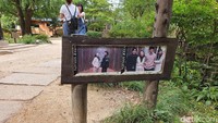 Jejak-jejak drama Winter Sonata memang tampak jelas di pulau cantik ini. Traveler bisa bernostalgia mengingat romantisme drama ini. (Foto: Widya Wiyanti/detikcom)