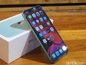 Bos Apple Klaim Penjualan iPhone 11 Kinclong, Ini Sebabnya