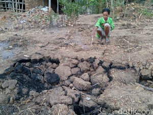 Tanah Gosong dan Bau Rempah Retakan Tanah yang Keluarkan Api di Ponorogo