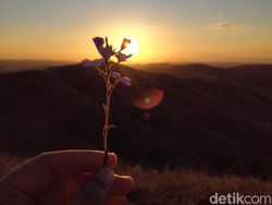 Keindahan Sumba Dalam Jepretan Realme 5