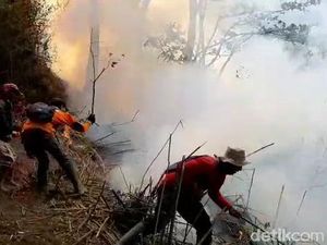 Ridwan Kamil Sebut Perusak Hutan Lebih Takut Hukum Adat Daripada Formal