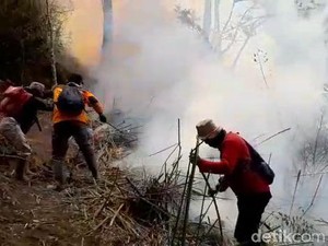 Gunung Merbabu Masih Membara, 600 Ha Lahan Hangus Terbakar