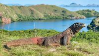 10 Pulau Terindah di Dunia