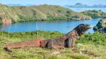 Foto: 10 Pulau Paling Indah di Dunia, Ada dari Indonesia