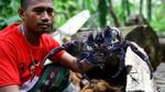 Selamat Datang di Miangas, Tapal Batas di Ujung Utara Indonesia