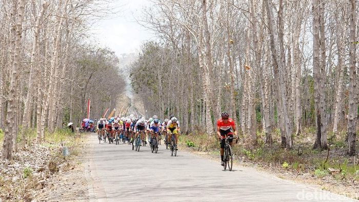 Etape 2 Tour de Banyuwangi Ijen 2019 suguhkan jalur terpanjang. (Adrian Fanani/detikSport) Etape 2 Tour de Banyuwangi Ijen 2019 suguhkan jalur terpanjang. (Adrian Fanani/detikSport)