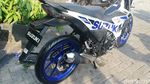 Ayam Jago Suzuki Bersolek