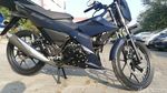 Ayam Jago Suzuki Bersolek