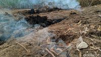 Meski Disiram Air, Api yang Keluar dari Tanah di Ponorogo Tak Padam
