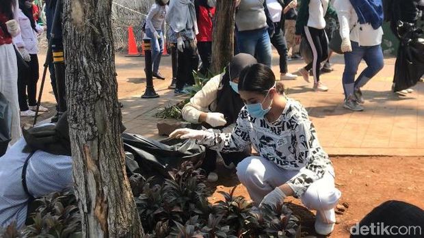 Saat Cuitan Budiman Sudjatmiko Soal Sensasi Dijawab Langsung Awkarin