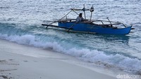 Di perairannya, ditemukan berbagai jenis ikan laut, seperti ikan layar, cakalang, ikan kulit pasir, lobster, teripang, dan ikan laut dalam.