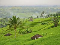 Wisata akhir tahun di Bali.