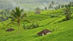 Foto: 7 Surga di Bali