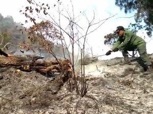 Puji Syukur! Kebakaran Hutan Semeru Mulai Padam