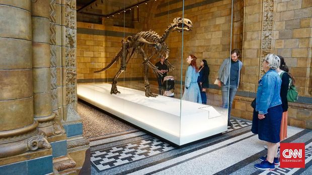 Belajar Soal Nyamuk sampai T-Rex di Natural History Museum